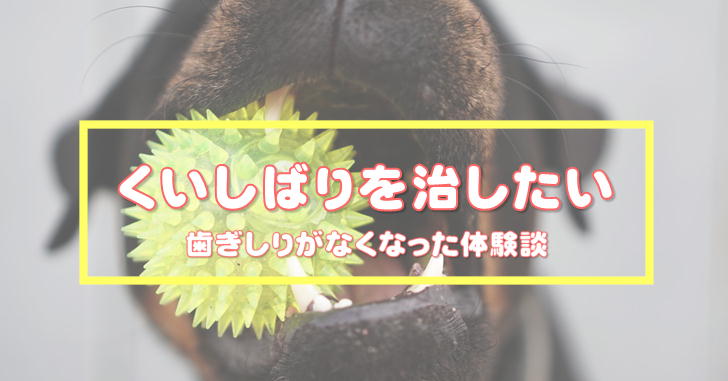 【体験談】くいしばり・歯ぎしりを治すことができた私の方法
