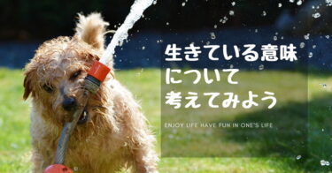 【現代の幸福論】思い通りでないからこそ面白いと考える